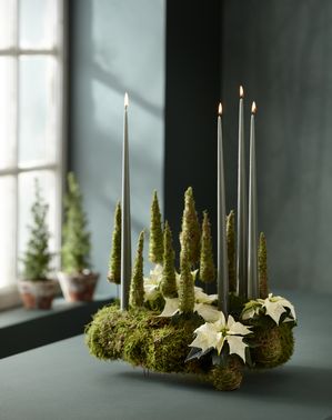 Advent wreath with cream mini poinsettias, metallic candles and fir trees made of moss