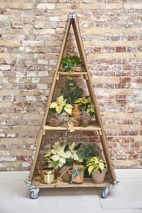Triangular wooden shelf unit on wheels containing cream-coloured poinsettias, presents, cones, houseplants and a watering can in front of a red brick wall