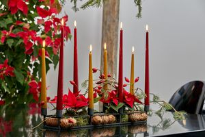 Cast iron black candle holder with four red and four yellow taper candles, mini poinsettias, cones and rosehip branches on black table next to columnar poinsettia