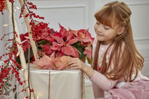 Une fillette rousse assise à côté d'un cadeau garni de poinsettias coupés et de branches de bois décorées d'ilex verticillata (baies d'hiver) et de guirlandes lumineuses.