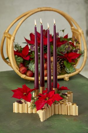 DIY Adventskranz aus Holz in Sternenform mit  geschnittenen roten Weihnachtssternen und Kerzen vor Bastkorb mit Zapfen, Poinsettien und Echeverien