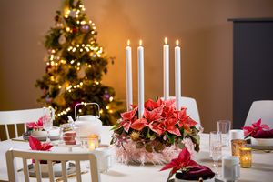 Retro Adventskranz mit rosa Flokati, Weihnachtssternen und weißen Kerzen auf gedecktem Tisch mit Tannenbaum im Hintergrund