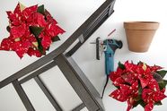 Materials for upcycled plant holders are a chair, a terracotta pot, chalk, a jigsaw and poinsettias.