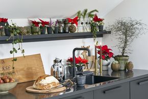 schwarze Küchenzeile mit Wandregal unter Dachschräge, roten Weihnachtssternen, Echeverien, einem Zickzackstrauch und anderen Pflanzen in Übertöpfen, einem Brot auf einem Brett, einer Thermoskanne, Zapfen