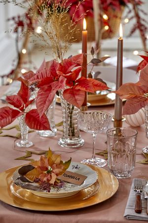 Festively set table with crystal glasses, taper candles and cut poinsettias in crystal vases and on the plate