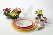 Poinsettias, plates, glass vases, glue and tins as materials for homemade cake stand