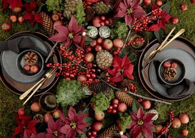 Kuvassa ruokapöydällä on juhlava koristelu, jossa on joulutähtiä, mistelin oksia, pieniä omenoita, mehitähtiä, käpyjä ja sammalta.