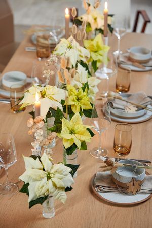 Kuvassa on ruokapöytä, joka on koristeltu valkoisilla leikkojoulutähdillä, kuuruoholla, pupunhäntä-ruoholla ja kynttilöillä.