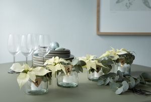 Adventsdekoration mit Gläsern, Teelichten, Weihnachtssternen, Eukalyptus und Holzherzen 