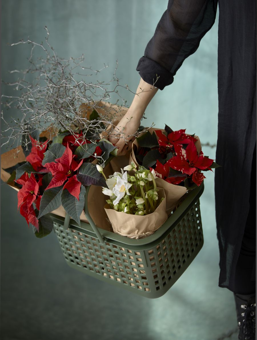Frau trägt grünen Designkorb aus Kunststoff mit in Papier eingewickelten roten Weihnachtssternen und einer Christrose