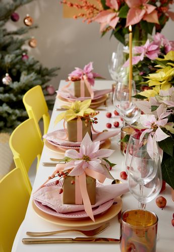 Stół z żółtymi krzesłami i kolorową dekoracją z poinsecji, jabłuszek, upominków, świec i kaktusów