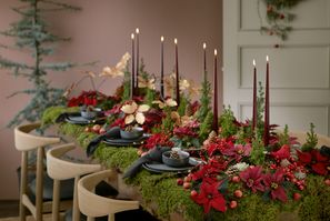 Table avec décoration forestière composée de mousse, de poinsettias, de faux cyprès, d'echeveria (plantes grasses) et de bougies. 