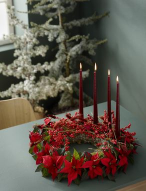 Adventskranz mit roten Schnittpoinsettien, Ilex, Hasenschwanz und roten Kerzen auf Tisch 