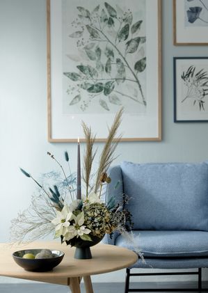 Design moderne de l'Avent composé de poinsettias, d'hortensias et de lagurus ovatus sur une table basse. 