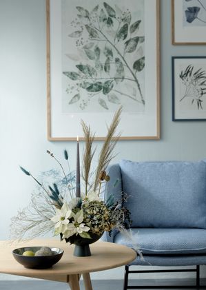 Modern Advent design of poinsettias, hydrangeas and Bunny's Tail grass (lagurus ovatus) on coffee table 