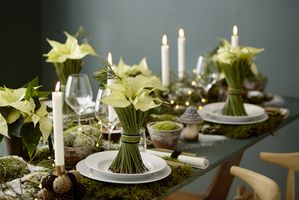 Table with cream poinsettias, moss, artificial snow and DIY flower holders