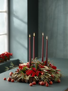 Adventskranz mit roten Weihnachtssternen, Getreideähren, Schlumbergera, Kiefernzweigen, Zapfen und roten Kerzen 