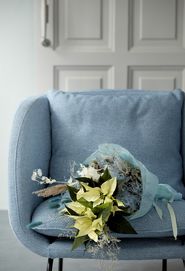 Bouquet of cream poinsettias and dried florals on blue armchair