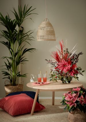 Arrangement de poinsettias sur une table avec palmier, coussin, tapis en raffia et abat-jour en osier