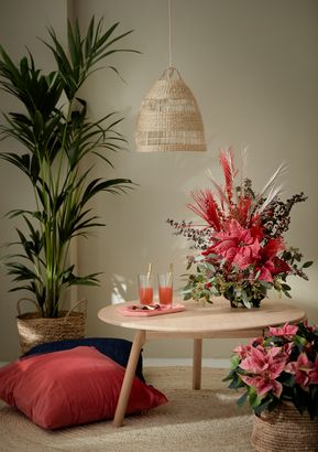 Poinsettia arrangement on table with indoor palm, cushion, raffia rug and wicker lampshade