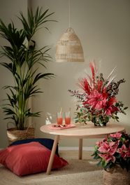 Poinsettia arrangement on table with indoor palm, cushion, raffia rug and wicker lampshade