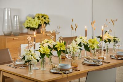 Laid table with white poinsettias in glass vases, lunaria (honesty), Bunny's Tail grasses and candles.