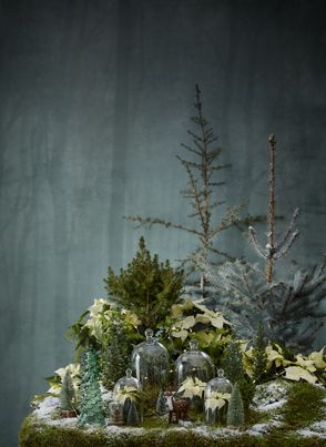 Forêt décorative avec mousse, poinsettias crèmes, conifères, neige artificielle et coupoles en verre devant un papier peint vert à motif forestier