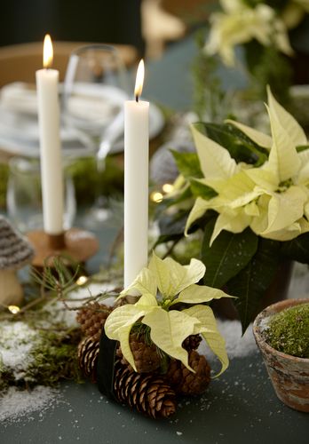 Tafeldecoratie en zelfgemaakte kandelaar van dennenappels met kaars en kerstster als snijbloem